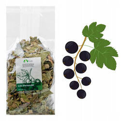 Suszone liście czarnej porzeczki dla gryzoni i królików Tivo 100g Producent: Tivo | Przysmak w 100% naturalny | Cenne źródło garbników | Opakowanie 100g - Naturalny przysmak dla gryzoni i królików