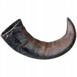 Róg bawoli , gryzak, duży - Producent: Trixie | 100% naturalny | Odpowiedni dla psów z alergią | 1 sztuka