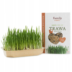 Trawa dla kota w pojemniku, 100g